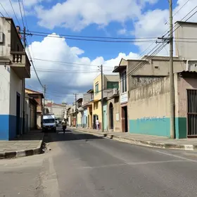 Pavimenta Lauro