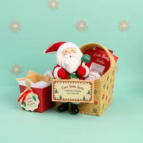 Cesta Santa 2026