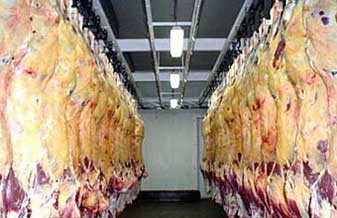 Frigorífico Padrão Indústria e Comércio de Alimentos - Foto 1