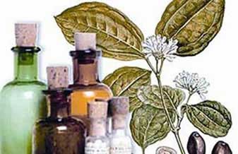 Farmácia Pharmaom Manipulação e Homeopatia - Foto 1