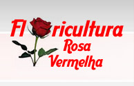 Floricultura Rosa Vermelha - Foto 1