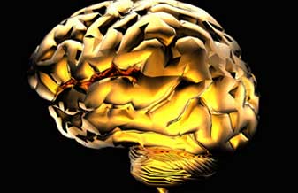 Instituto de Neurologia e Geriatria - Foto 1