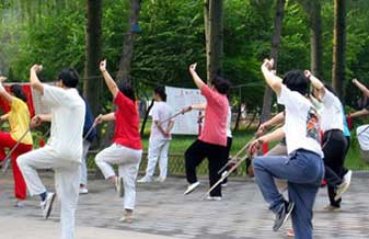 Tai Chi Chuan Mestre Adilson França - Foto 1