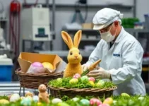 fiscalização de produtos típicos