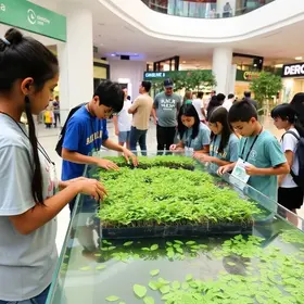 exposição sobre manguezais