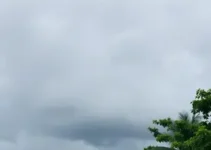 previsão do tempo