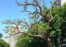 vandalismo em Lauro de Freitas